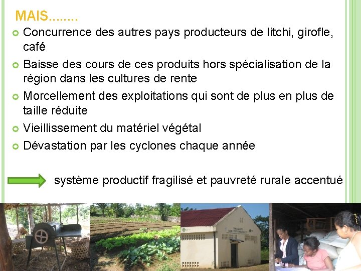 MAIS……. . Concurrence des autres pays producteurs de litchi, girofle, café Baisse des cours