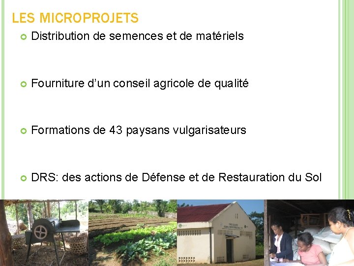 LES MICROPROJETS Distribution de semences et de matériels Fourniture d’un conseil agricole de qualité