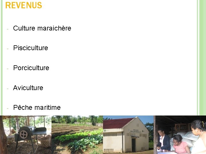 REVENUS - Culture maraichère - Pisciculture - Porciculture - Aviculture - Pêche maritime 