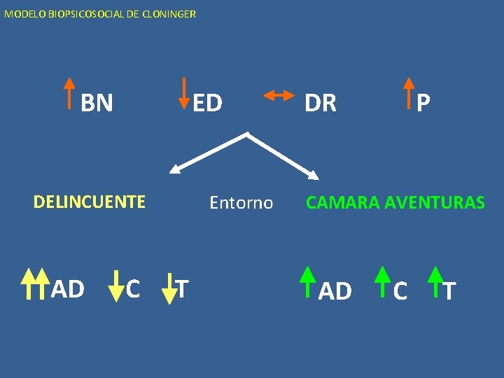 MODELO BIOPSICOSOCIAL DE CLONINGER BN ED DELINCUENTE AD C Entorno T DR P CAMARA