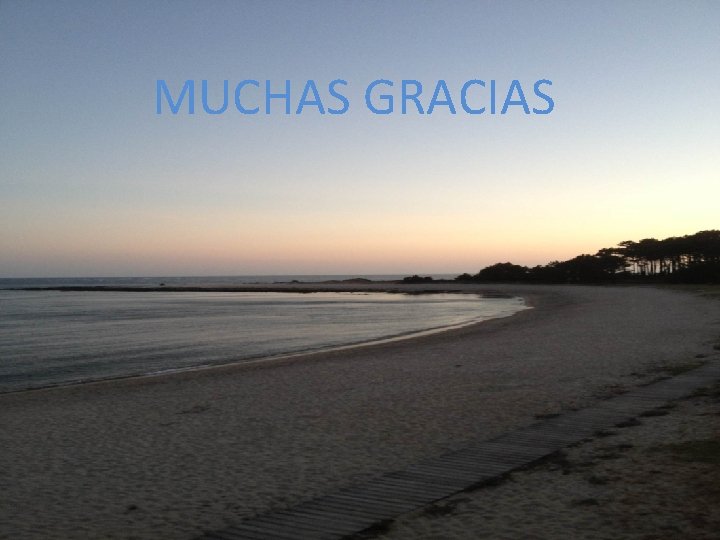 MUCHAS GRACIAS 