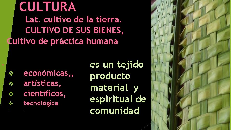 CULTURA Lat. cultivo de la tierra. CULTIVO DE SUS BIENES, Cultivo de práctica humana. CULTURA Lat. cultivo de la tierra. CULTIVO DE SUS BIENES, Cultivo de práctica humana.