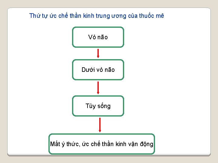 Thứ tự ức chế thần kinh trung ương của thuốc mê Vỏ não Dưới