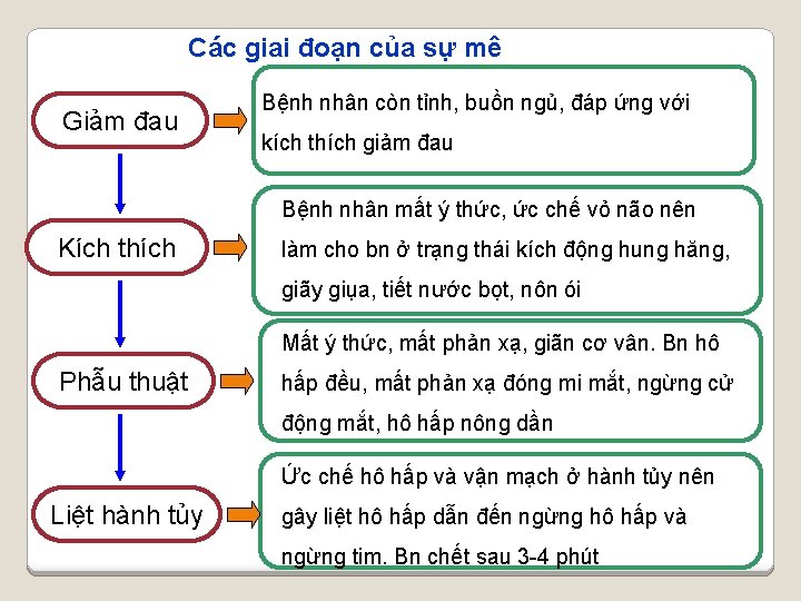 Các giai đoạn của sự mê Giảm đau Bệnh nhân còn tỉnh, buồn ngủ,