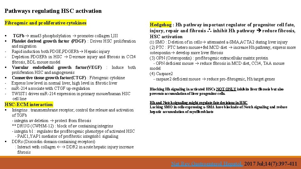 Pathways regulating HSC activation Fibrogenic and proliferative cytokines § § - TGFb smad 3