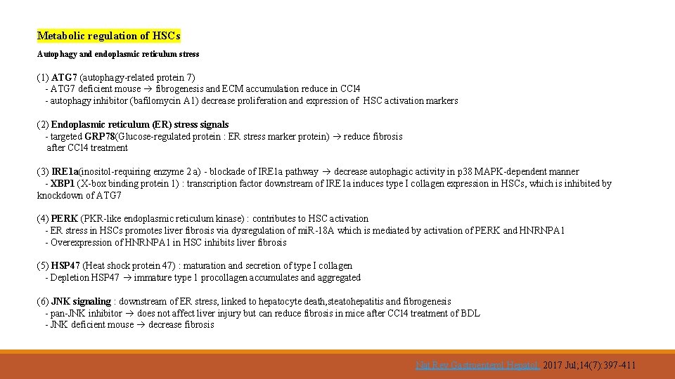 Metabolic regulation of HSCs Autophagy and endoplasmic reticulum stress (1) ATG 7 (autophagy-related protein