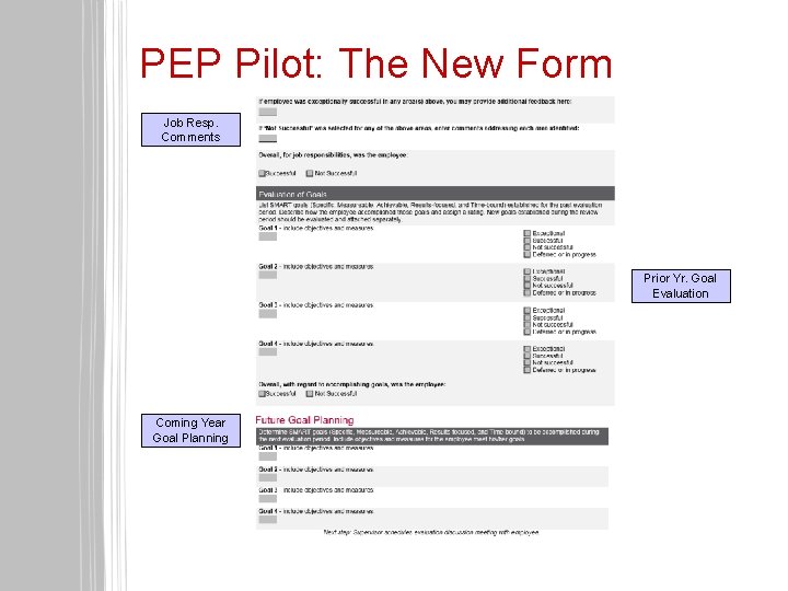 PEP Pilot: The New Form Job Resp. Comments Prior Yr. Goal Evaluation Coming Year