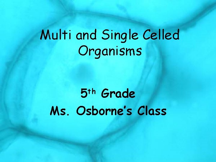 Multi and Single Celled Organisms 5 th Grade Ms. Osborne’s Class 