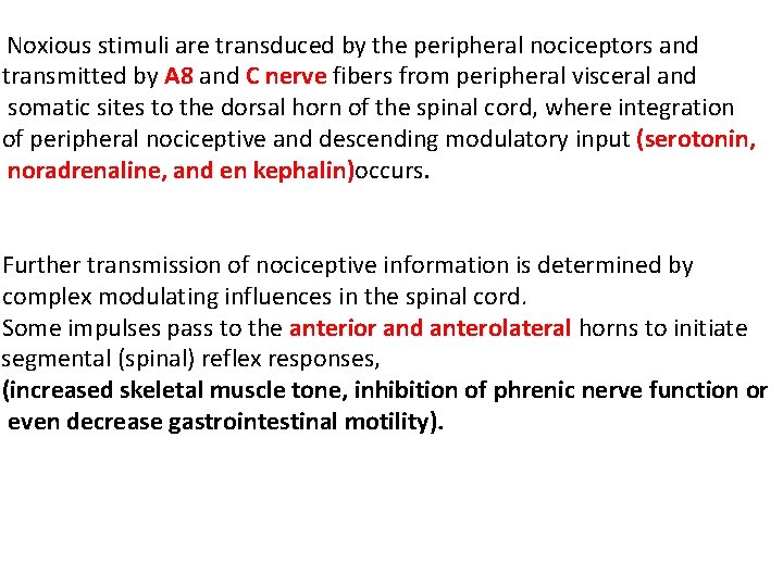 Noxious stimuli are transduced by the peripheral nociceptors and transmitted by A 8 and