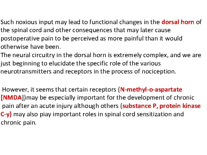 Such noxious input may lead to functional changes in the dorsal horn of the