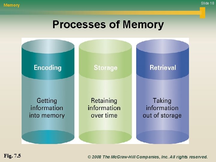 Slide 18 Memory Processes of Memory Fig. 7. 5 © 2008 The Mc. Graw-Hill