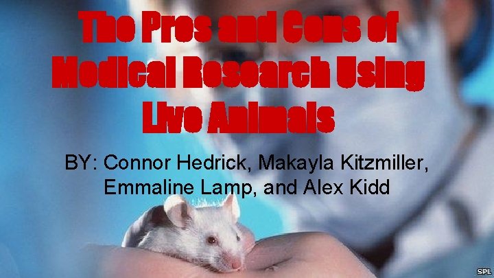 The Pros and Cons of Medical Research Using Live Animals BY: Connor Hedrick, Makayla