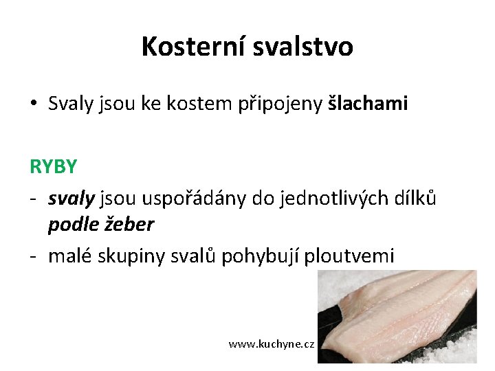 Kosterní svalstvo • Svaly jsou ke kostem připojeny šlachami RYBY - svaly jsou uspořádány