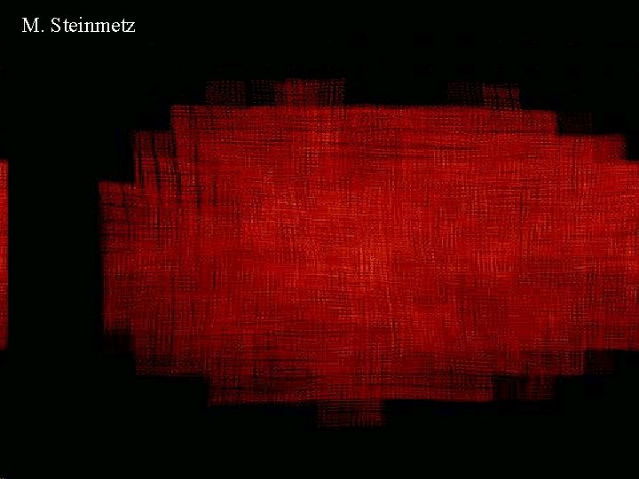 M. Steinmetz M. Steinmetz