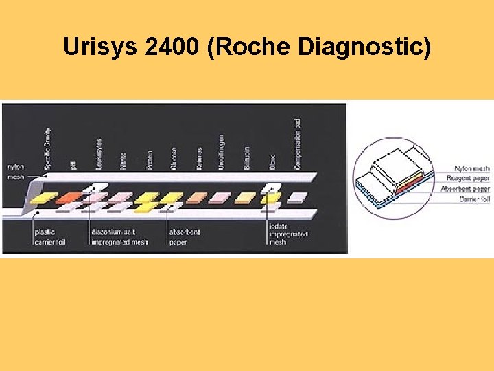 Urisys 2400 (Roche Diagnostic) 
