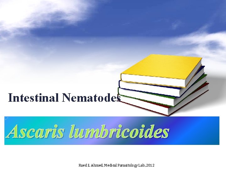 Intestinal Nematodes Ascaris lumbricoides Raed Z. Ahmed, Medical Parasitology Lab. , 2012 Intestinal Nematodes Ascaris lumbricoides Raed Z. Ahmed, Medical Parasitology Lab. , 2012