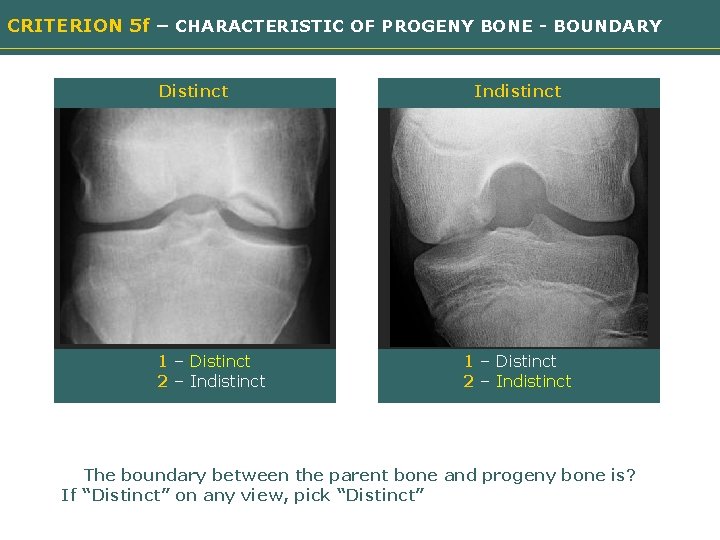 CRITERION 5 f – CHARACTERISTIC OF PROGENY BONE - BOUNDARY Distinct Indistinct Need image