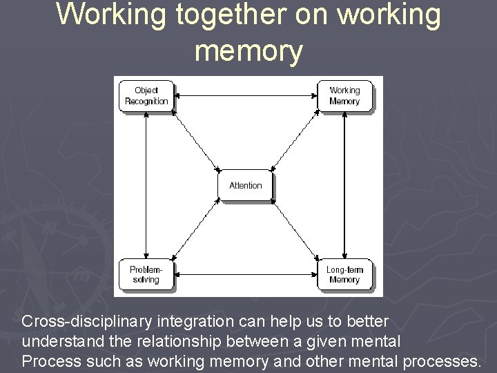 Working together on working memory Cross-disciplinary integration can help us to better understand the