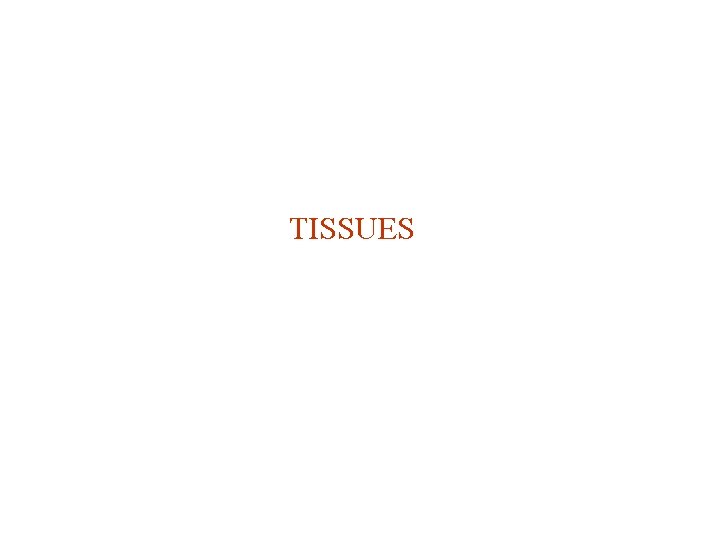 TISSUES 