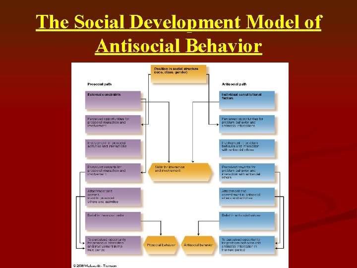 The Social Development Model of Antisocial Behavior 