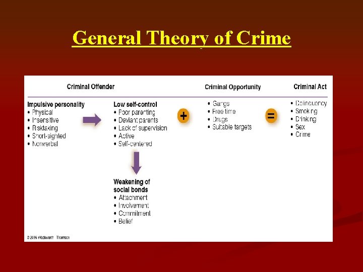 General Theory of Crime 