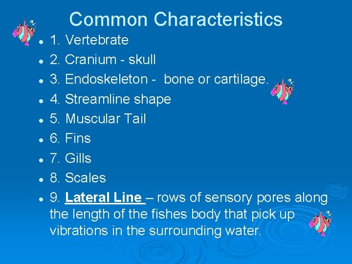 Common Characteristics l l l l l 1. Vertebrate 2. Cranium - skull 3.