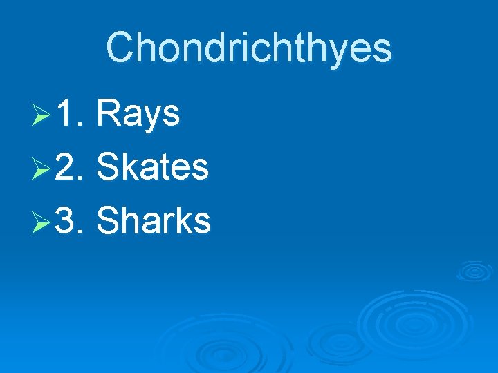 Chondrichthyes Ø 1. Rays Ø 2. Skates Ø 3. Sharks 