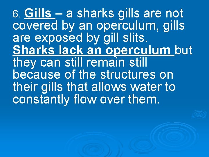 6. Gills – a sharks gills are not covered by an operculum, gills are