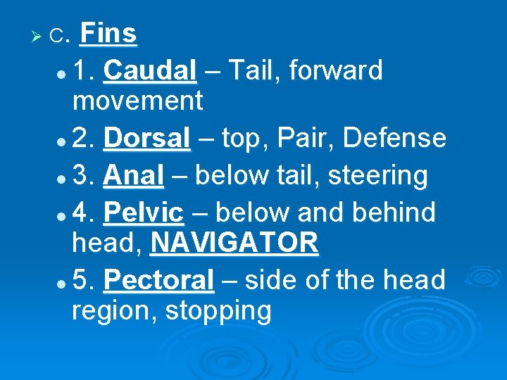 Ø C. Fins l 1. Caudal – Tail, forward movement l 2. Dorsal –