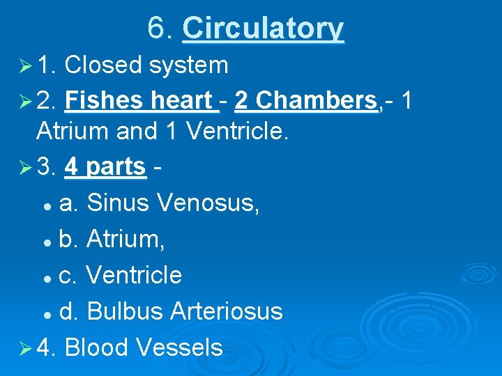 6. Circulatory Ø 1. Closed system Ø 2. Fishes heart - 2 Chambers, -