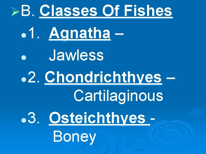 ØB. Classes Of Fishes 1. Agnatha – l Jawless l 2. Chondrichthyes – Cartilaginous