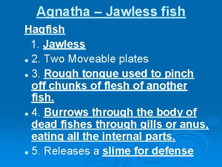 Agnatha – Jawless fish Hagfish 1. Jawless l 2. Two Moveable plates l 3.