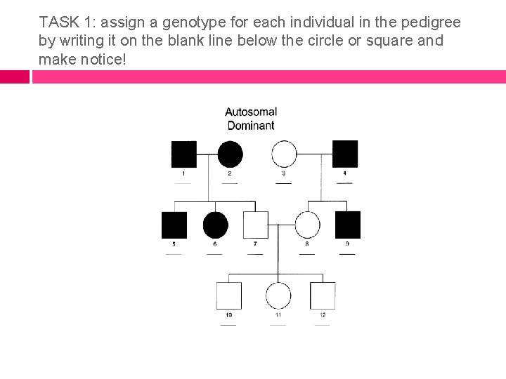 TASK 1: assign a genotype for each individual in the pedigree by writing it