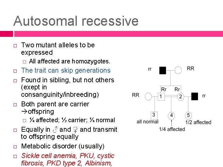 Autosomal recessive Two mutant alleles to be expressed � The trait can skip generations