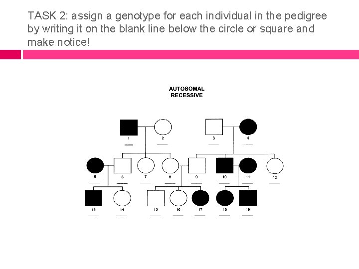 TASK 2: assign a genotype for each individual in the pedigree by writing it