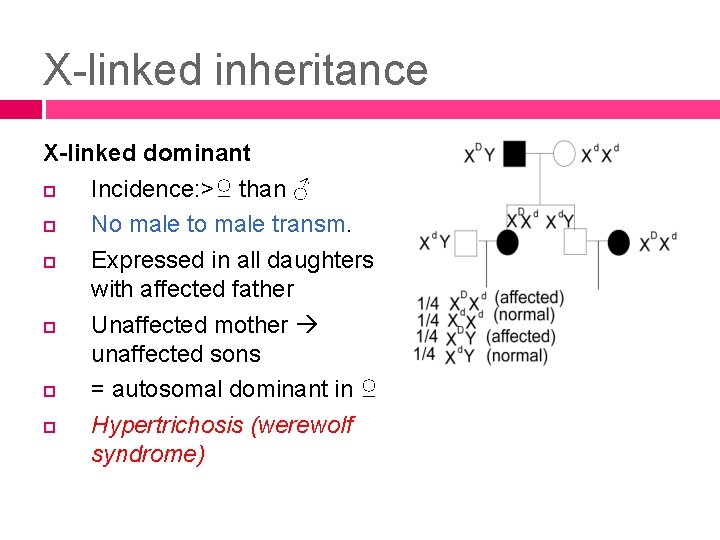 X-linked inheritance X-linked dominant Incidence: >♀ than ♂ No male transm. Expressed in all