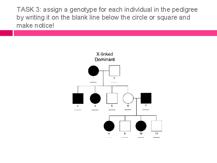 TASK 3: assign a genotype for each individual in the pedigree by writing it