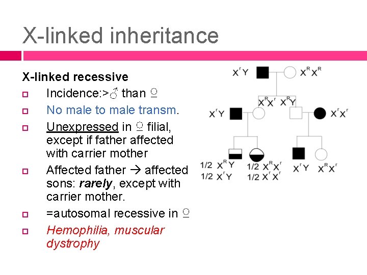 X-linked inheritance X-linked recessive Incidence: >♂ than ♀ No male transm. Unexpressed in ♀