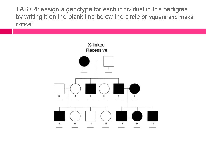 TASK 4: assign a genotype for each individual in the pedigree by writing it