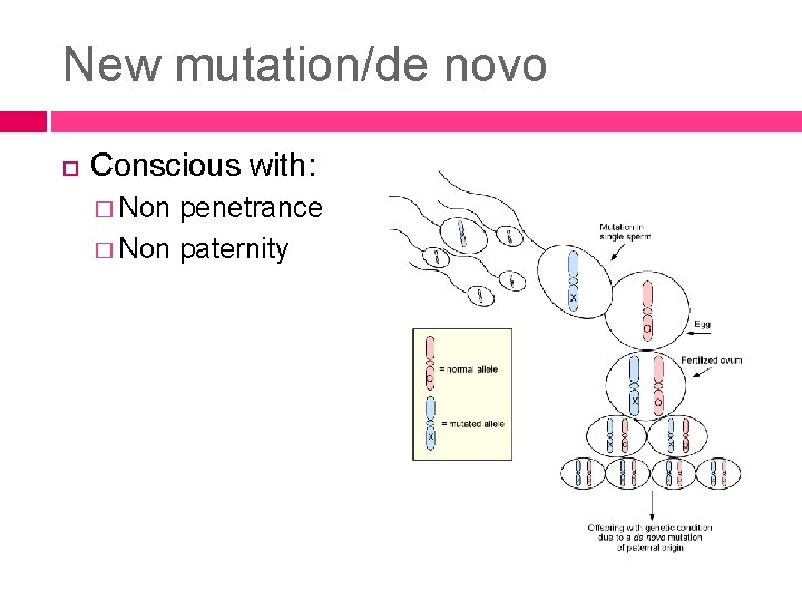 New mutation/de novo Conscious with: � Non penetrance � Non paternity 