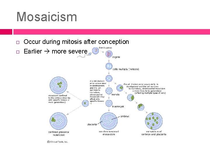 Mosaicism Occur during mitosis after conception Earlier more severe 