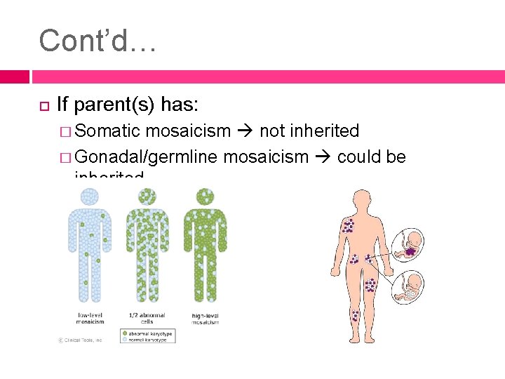 Cont’d… If parent(s) has: � Somatic mosaicism not inherited � Gonadal/germline mosaicism could be