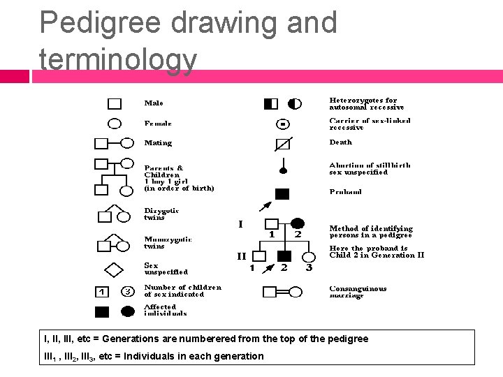 Pedigree drawing and terminology I, III, etc = Generations are numberered from the top