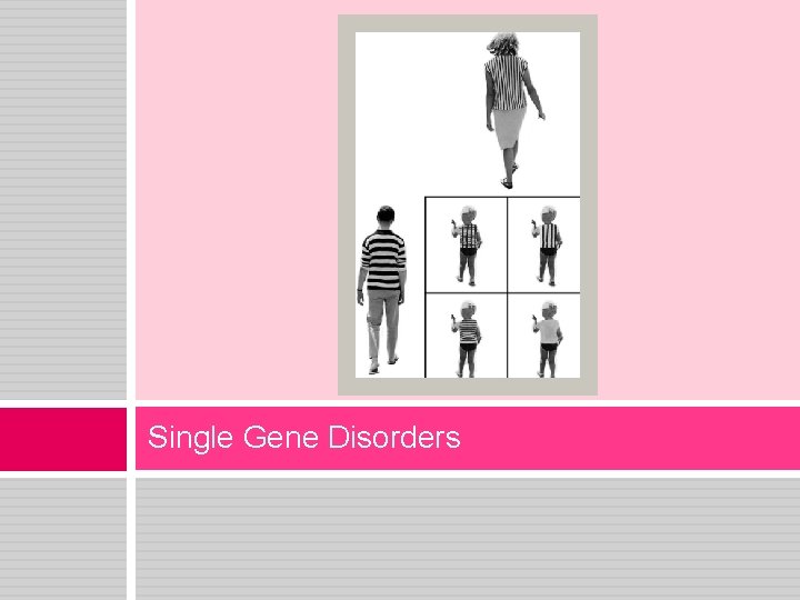 Single Gene Disorders 