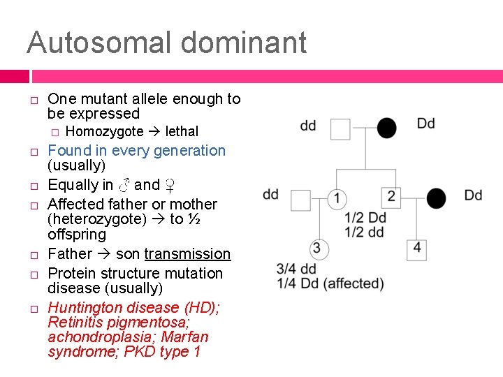 Autosomal dominant One mutant allele enough to be expressed � Homozygote lethal Found in