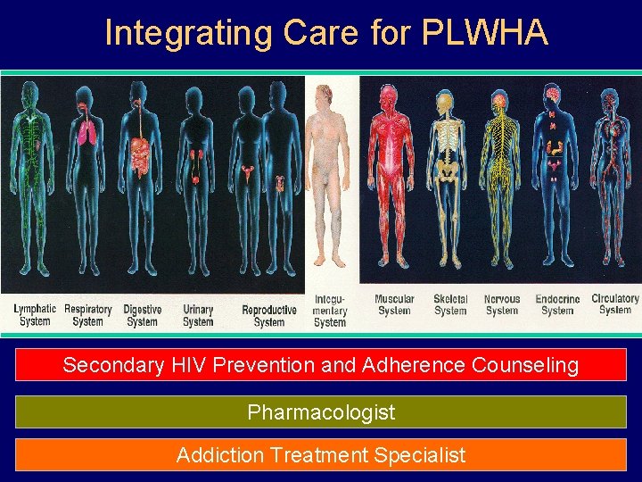 Integrating Care for PLWHA Secondary HIV Prevention and Adherence Counseling Pharmacologist Addiction Treatment Specialist Integrating Care for PLWHA Secondary HIV Prevention and Adherence Counseling Pharmacologist Addiction Treatment Specialist