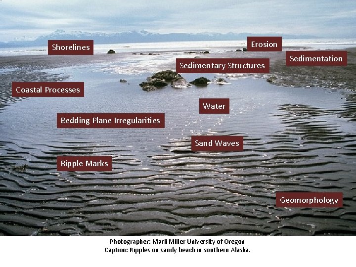 Erosion Shorelines Sedimentary Structures Sedimentation Coastal Processes Water Bedding Plane Irregularities Sand Waves Ripple