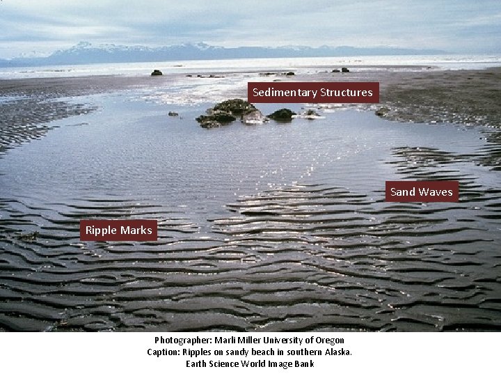 Sedimentary Structures Sand Waves Ripple Marks Photographer: Marli Miller University of Oregon Caption: Ripples