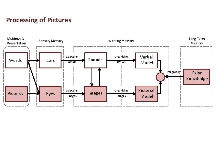 Processing of Pictures Multimedia Presentation Sensory Memory Words Ears Long-Term Memory Working Memory Selecting