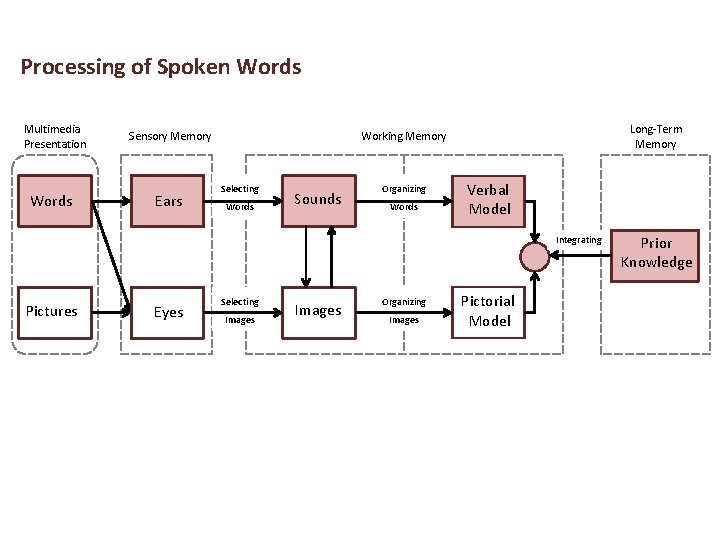 Processing of Spoken Words Multimedia Presentation Sensory Memory Words Ears Long-Term Memory Working Memory